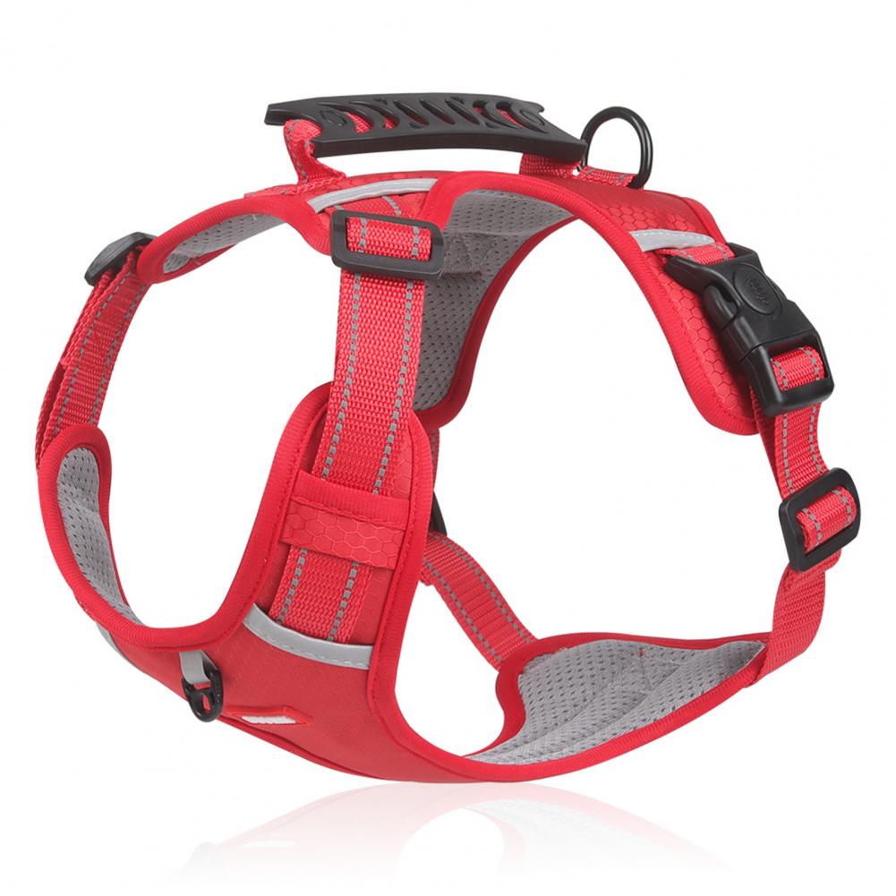 Breathable Reflective Dog Harness for Outdoor Adventures