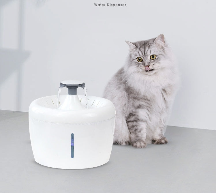 Universal Pet Water Dispenser for Easy Daily Hydration