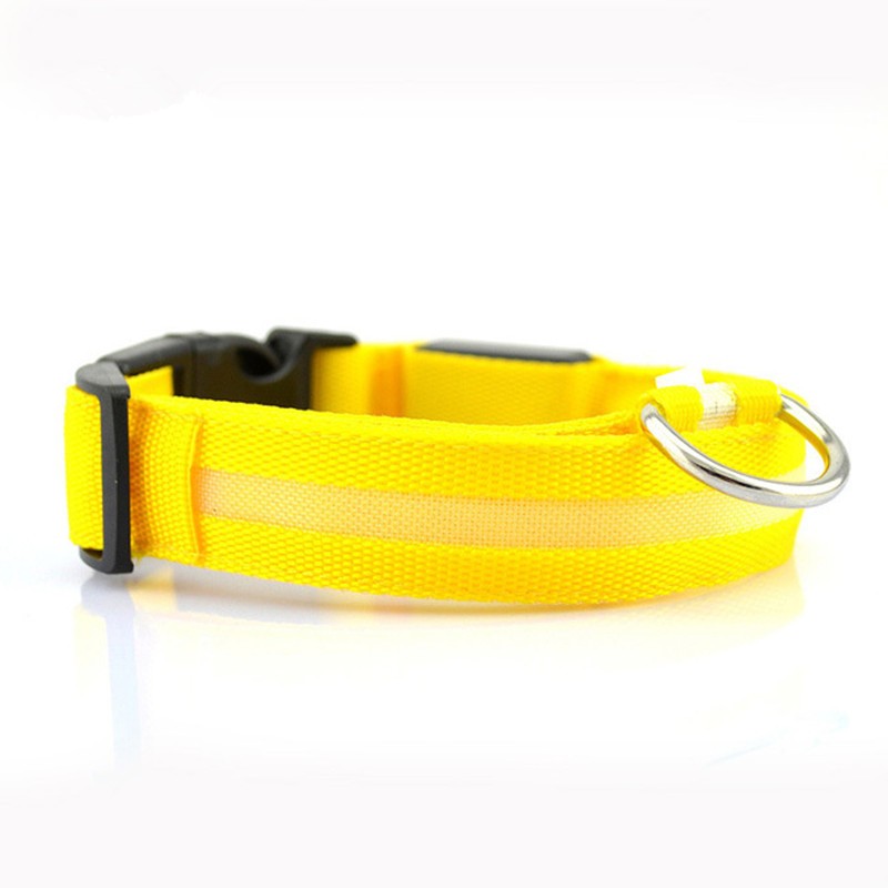 Keep Your Pet Safe and Seen with LED Glow Collar