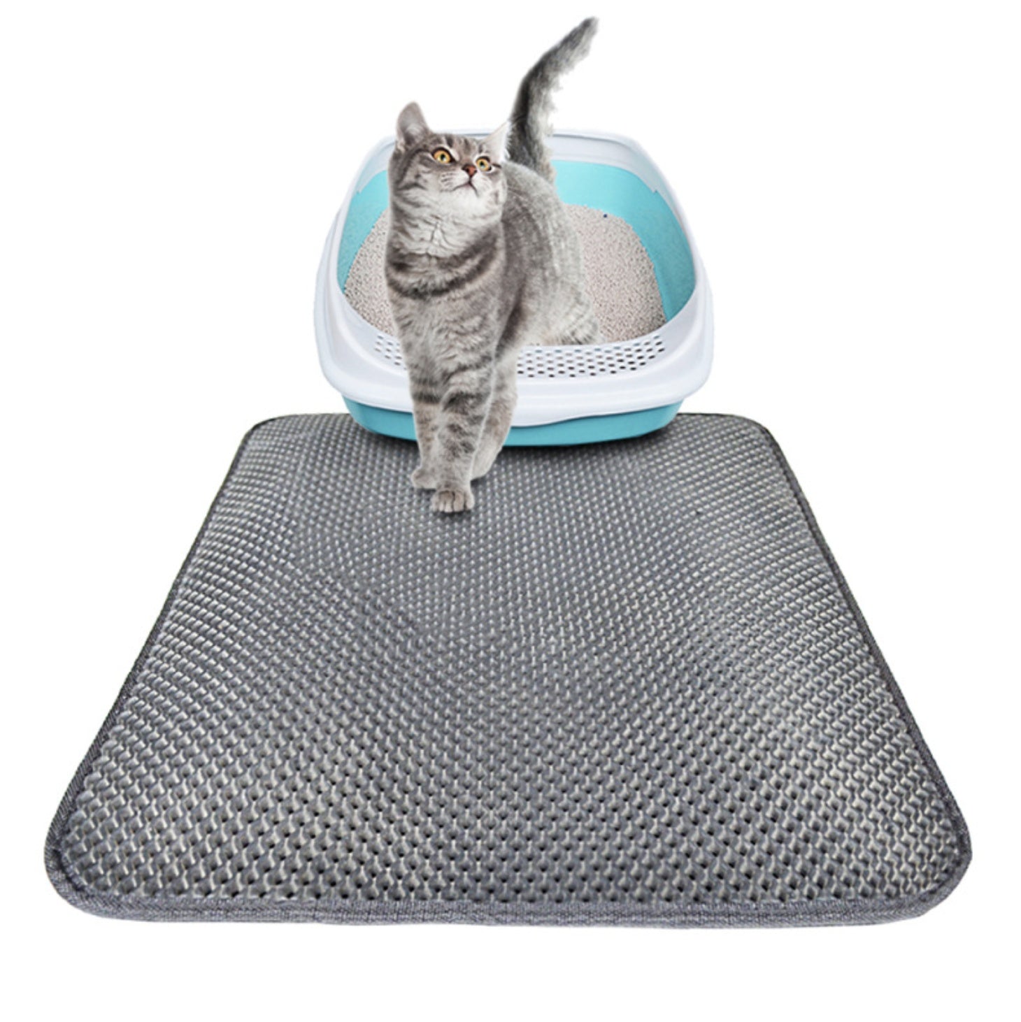 Easy Clean Double Layer Litter Mat for Cats