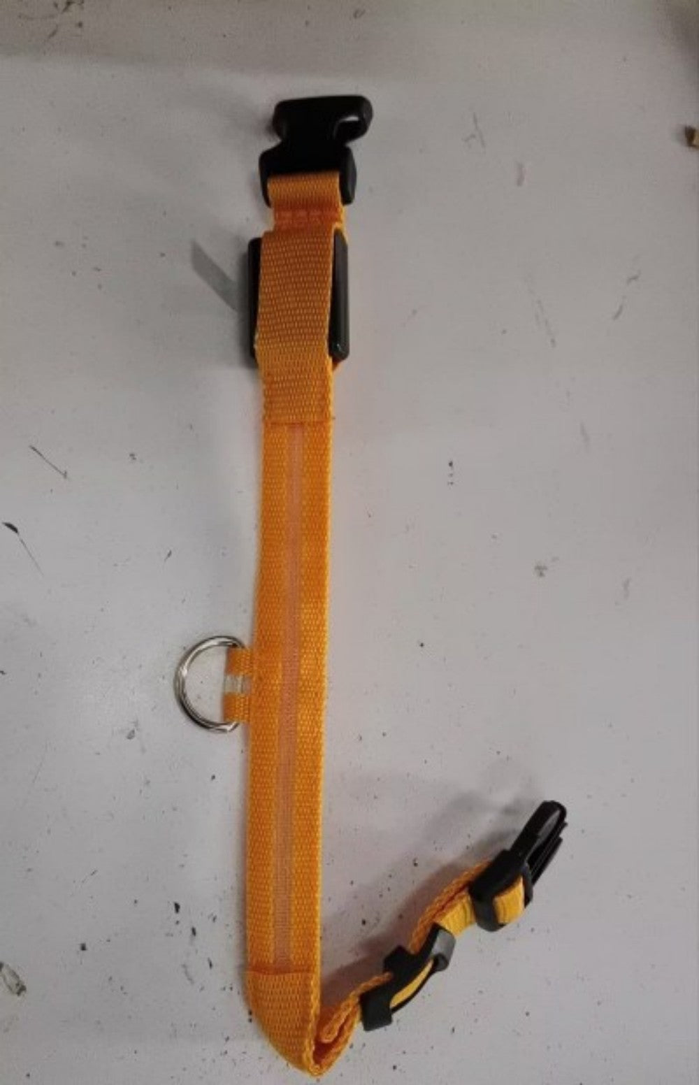 Keep Your Pet Safe and Seen with LED Glow Collar