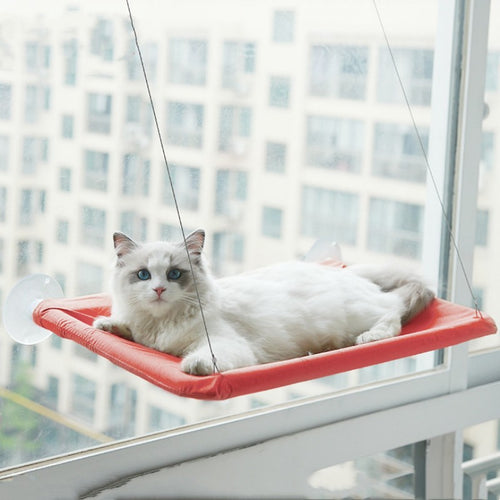 Comfortable Window Perch Cat Hammock for Relaxing