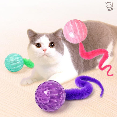 Bouncy Worm Cat Toy for Active Indoor Kittens