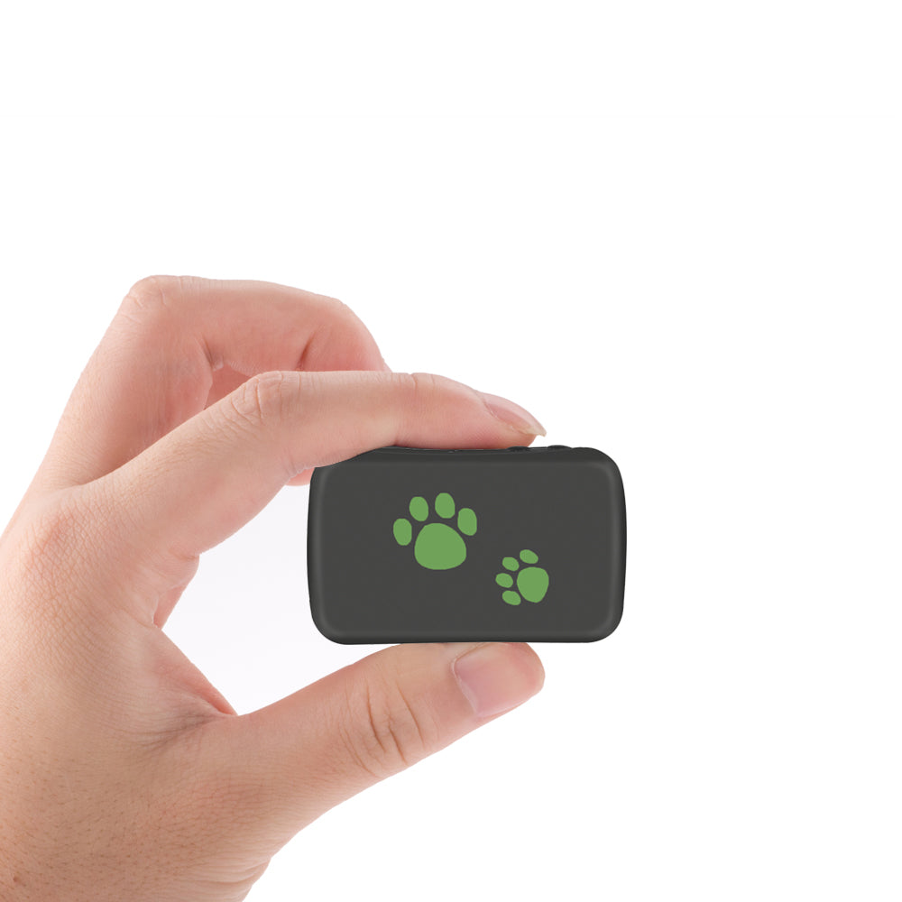 Real-Time Pet GPS Tracker for Peace of Mind
