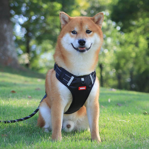 Breathable Reflective Dog Harness for Outdoor Adventures