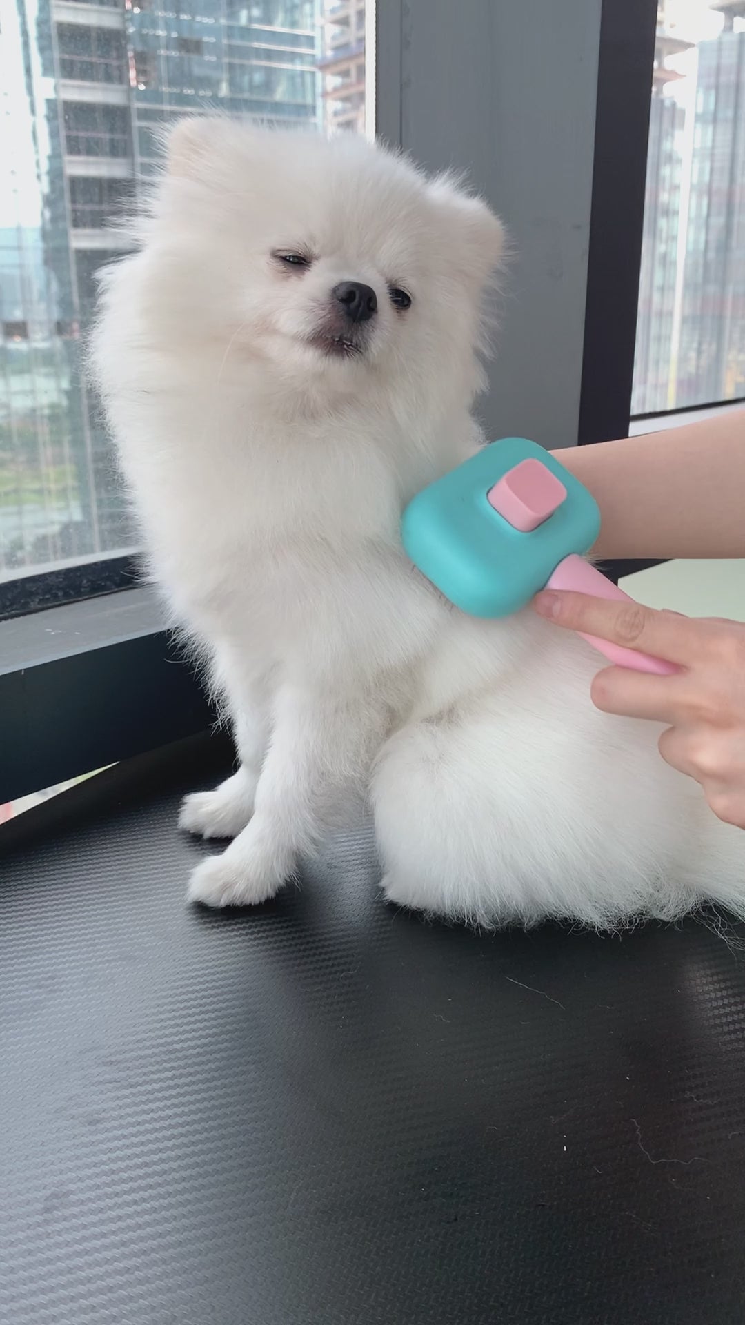 Easy Grooming Pet Brush for Dogs and Cats